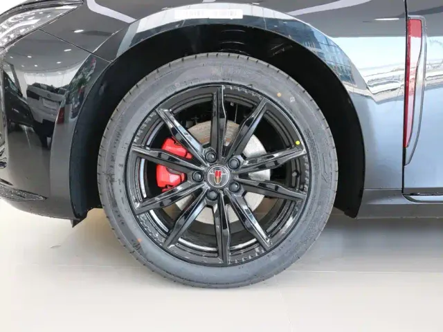 Hongqi Hongqi H5 2025 2.0T Automatic Mystic Shadow 2 Million Edition — Фото автомобиля 15