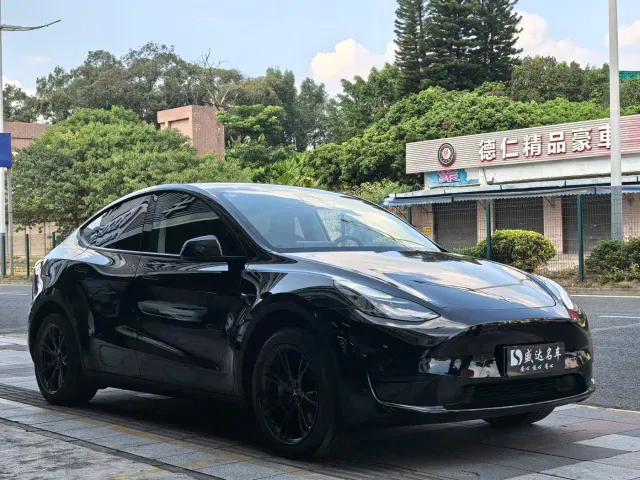 Tesla Model Y — Фото автомобиля 3