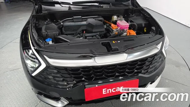 Kia Sportage — Фото автомобиля 6