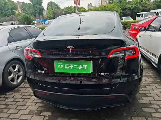 Tesla Model Y — Фото автомобиля 3