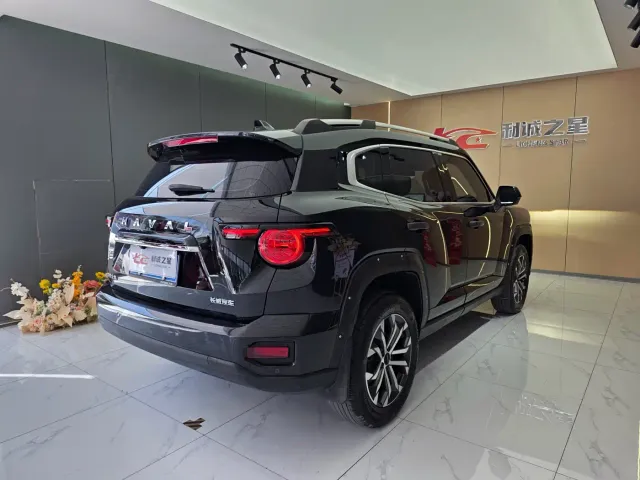 Haval Big Dog — Фото автомобиля 4