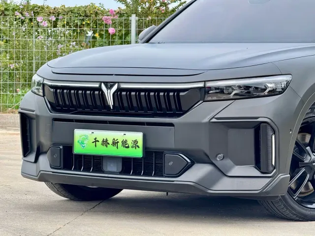 Voyah Auto VOYAH FREE 2024 Ultra Long Range Intelligent Driving Edition — Фото автомобиля 6