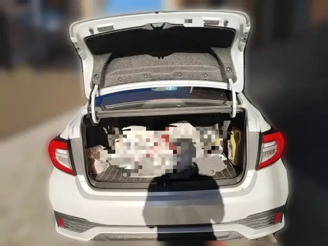 Honda ENVIX — Фото автомобиля 9