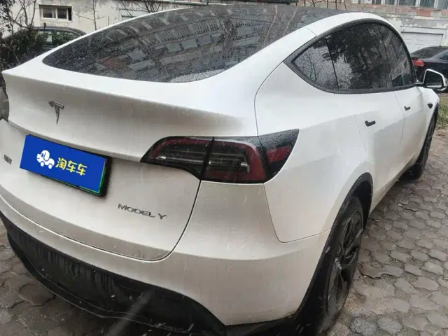 Tesla Model Y — Фото автомобиля 3