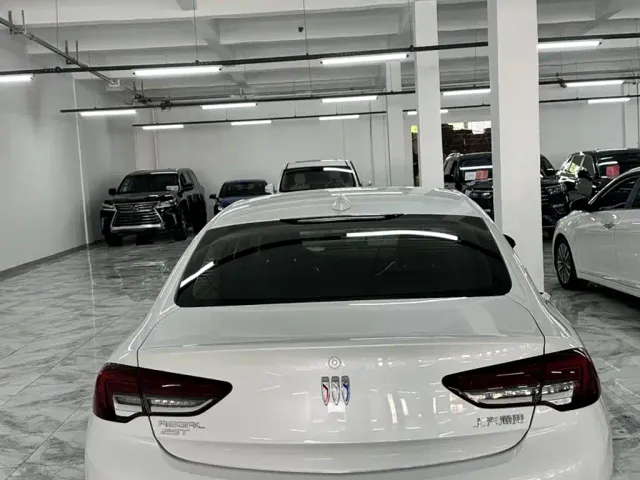 Buick Regal — Фото автомобиля 6