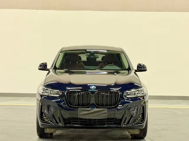BMW X4 — Фото автомобиля 2