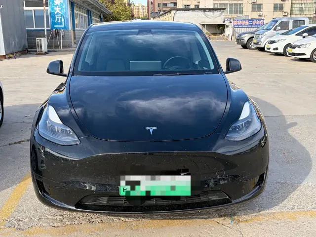 Tesla Model Y — Фото автомобиля 2