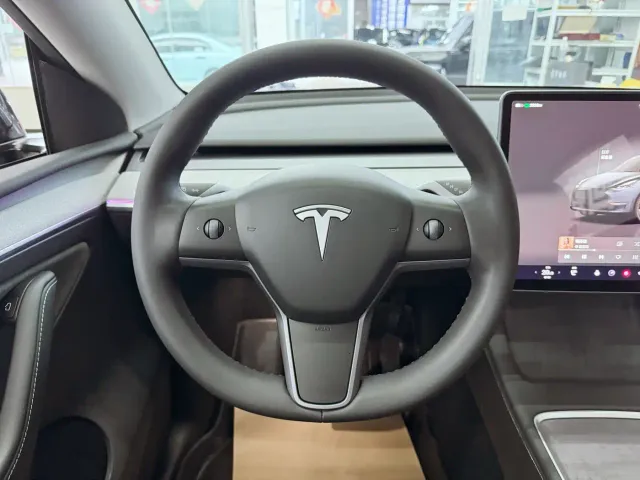 Tesla Model Y — Фото автомобиля 12