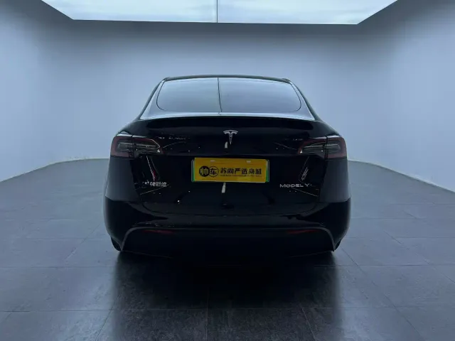 Tesla Model Y — Фото автомобиля 8