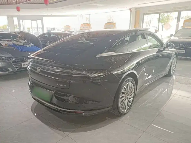 Buick Electra L7 — Фото автомобиля 6