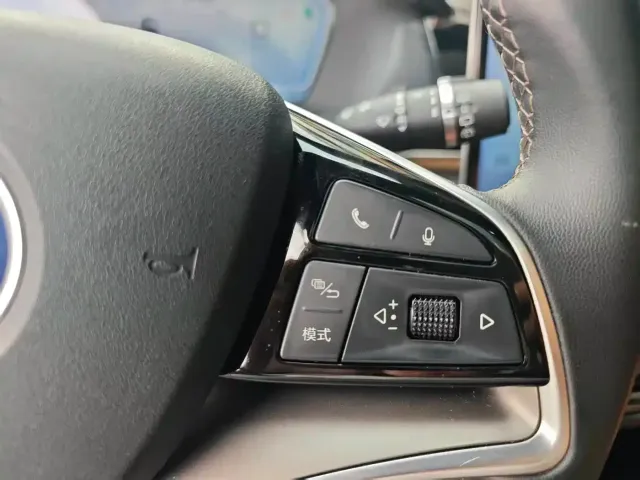 BYD Tang New Energy 2022 DM-i 252KM Executive — Фото автомобиля 13