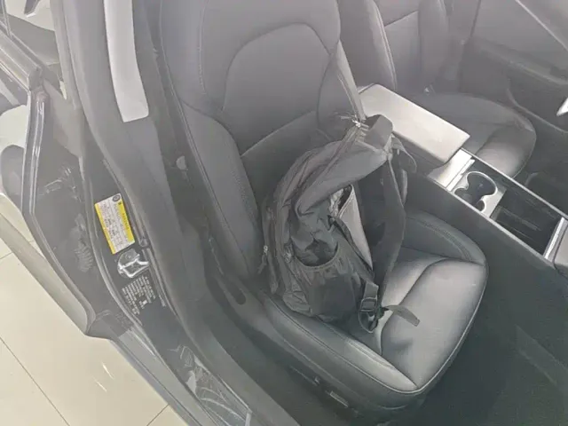 Tesla Model 3 — Фото автомобиля 19