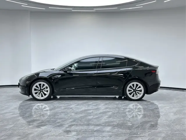 Tesla Model 3 2021 Facelift Standard Range RWD Upgrade 3D1 — Фото автомобиля 7