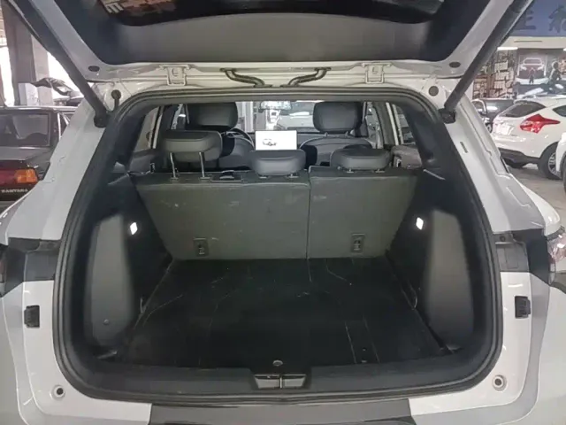 Wuling Starlight S — Фото автомобиля 18