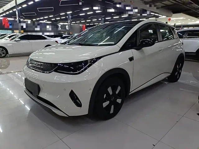 Фотография автомобиля — BYD Dolphin