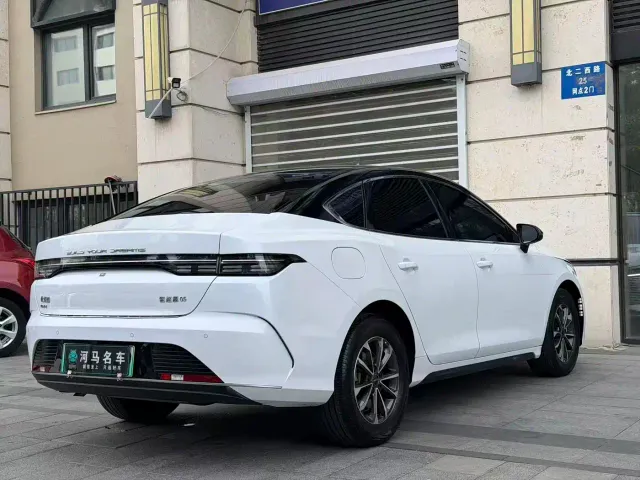 BYD Destroyer 05 — Фото автомобиля 10