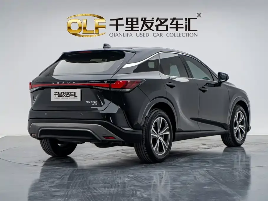 Lexus Lexus RX 2025 300 4WD Premium Edition — Фото автомобиля 3