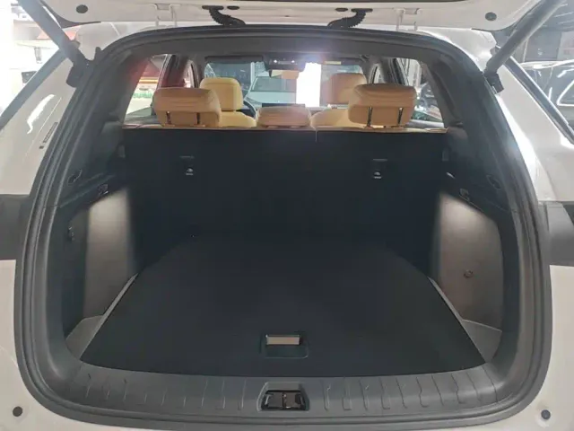 BYD Song L DM-i — Фото автомобиля 14