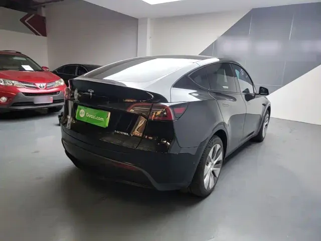 Tesla Model Y — Фото автомобиля 6