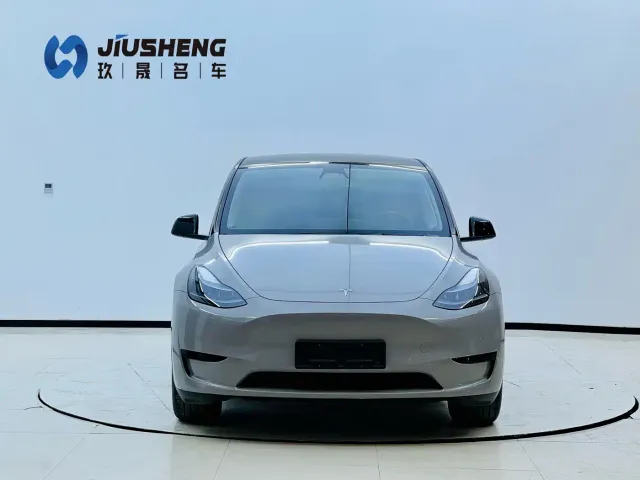 Tesla Model Y — Фото автомобиля 2