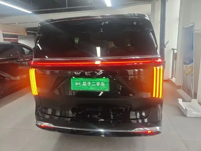 Wey Alpine — Фото автомобиля 5