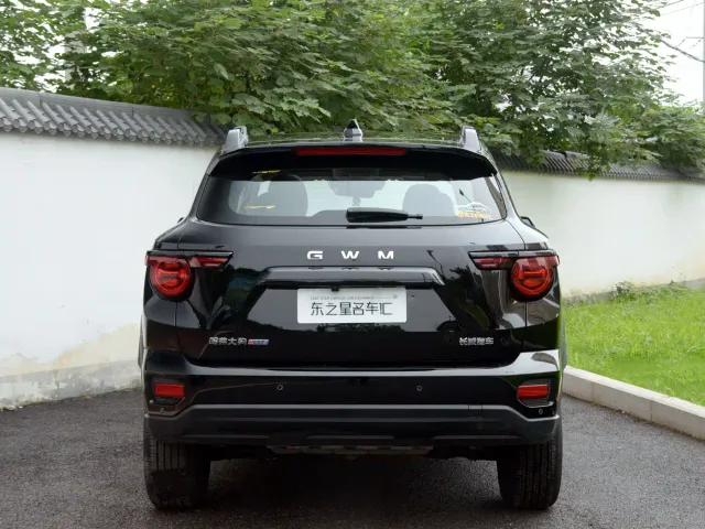 Haval Big Dog — Фото автомобиля 8