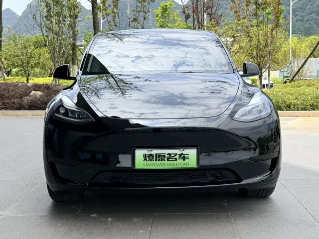 Tesla Model Y — Фото автомобиля 2