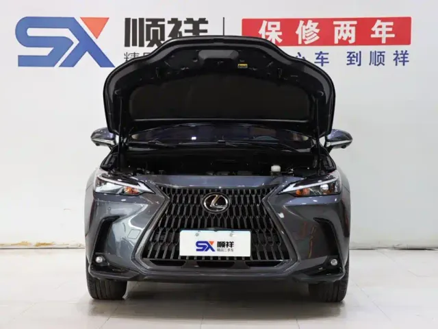 Lexus NX — Фото автомобиля 19