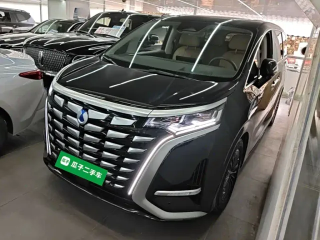 Фотография автомобиля — Denza D9