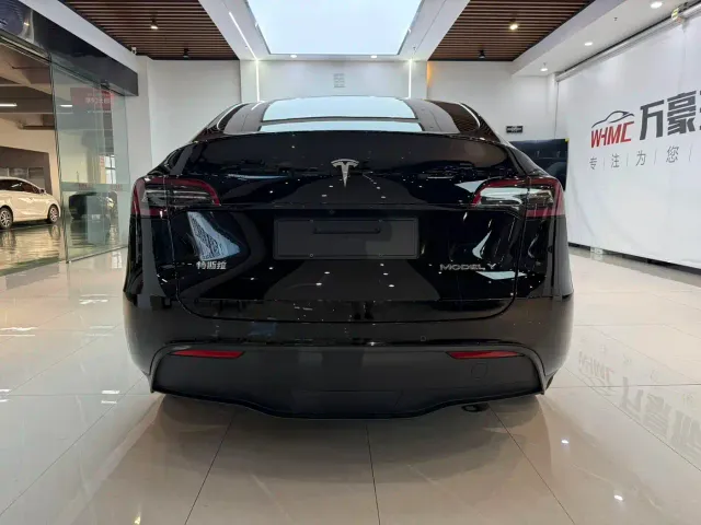 Tesla Model Y — Фото автомобиля 9