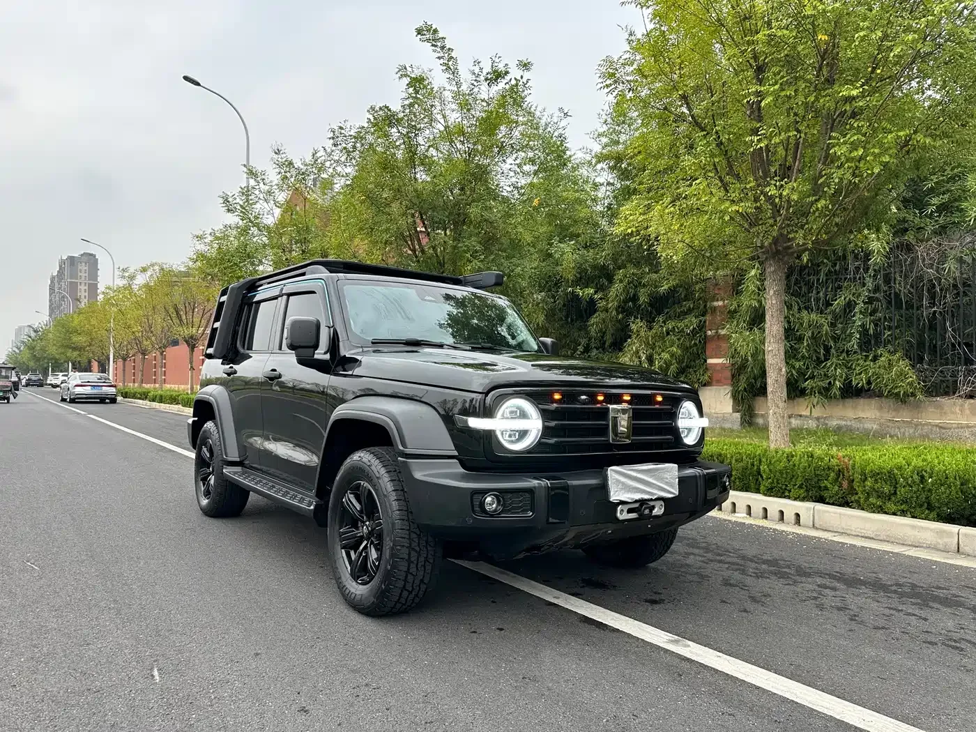 Tank Tank 300 2021 Off-road Version 2.0T Conqueror — Фото автомобиля 6