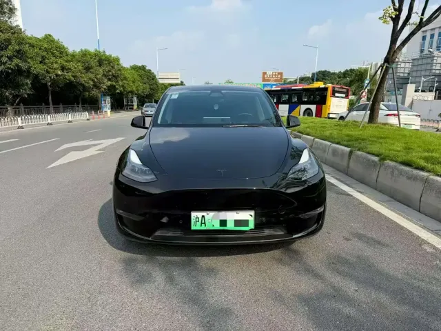 Tesla Model Y — Фото автомобиля 2