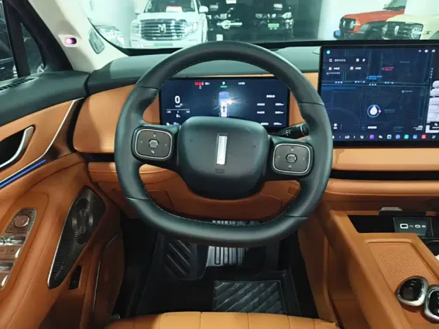 Wey Lanshan — Фото автомобиля 10