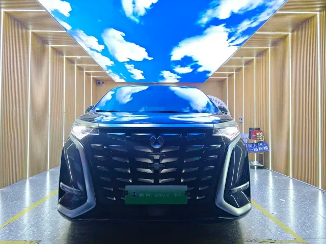 Denza D9 — Фото автомобиля 3