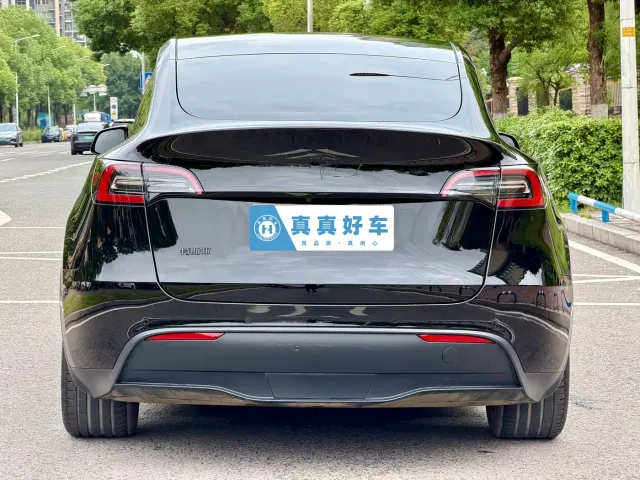 Tesla Model Y — Фото автомобиля 5