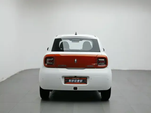 Ora Ora Black Cat 2022 351km Comfort (NMC) — Фото автомобиля 4