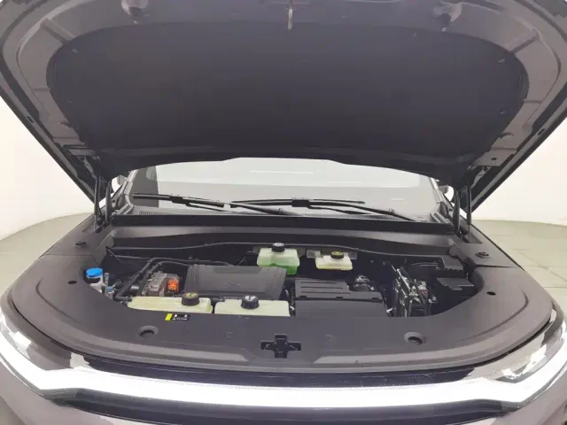 GAC Trumpchi Xiangwang S7 — Фото автомобиля 6