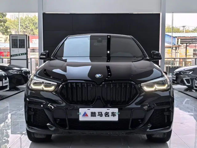 BMW X6 — Фото автомобиля 2