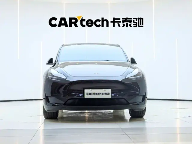 Tesla Model Y — Фото автомобиля 6