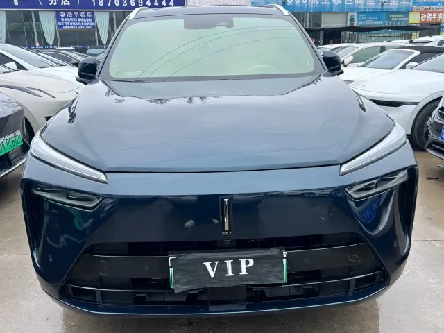 Wey Lanshan — Фото автомобиля 2