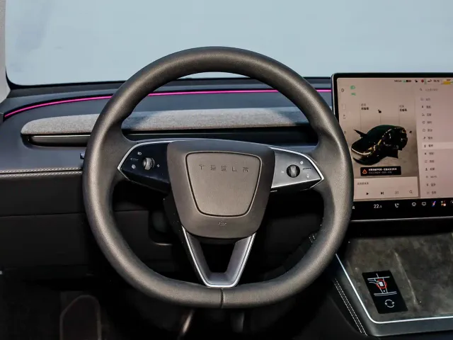 Tesla Model Y — Фото автомобиля 14