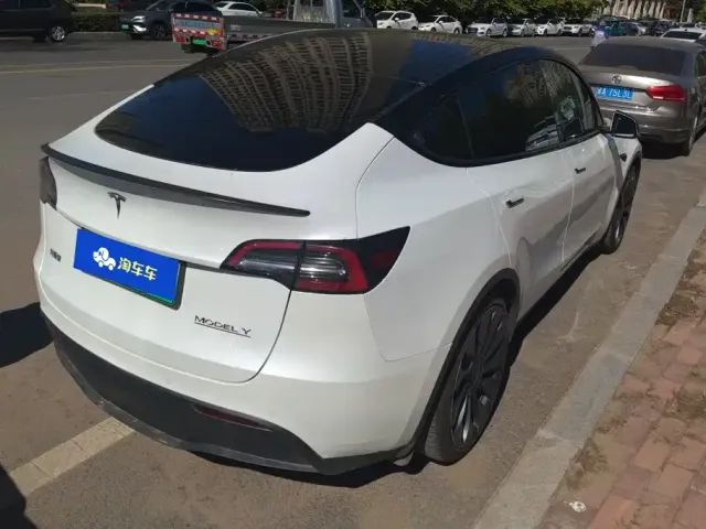 Tesla Model Y — Фото автомобиля 3