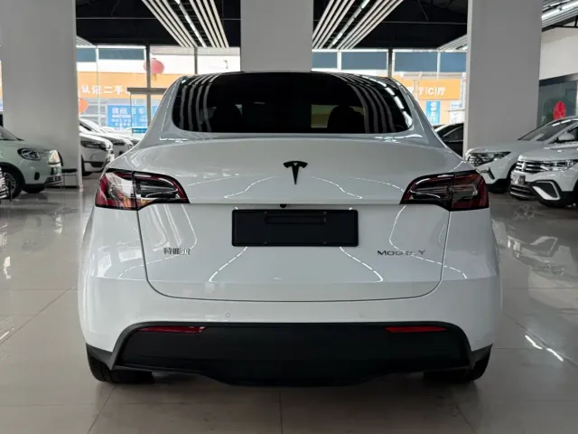 Tesla Model Y — Фото автомобиля 5