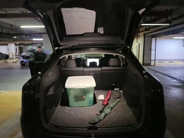 Tesla Model Y — Фото автомобиля 5