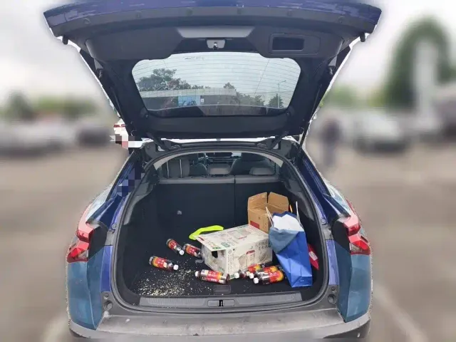 Citroen C5 X — Фото автомобиля 9