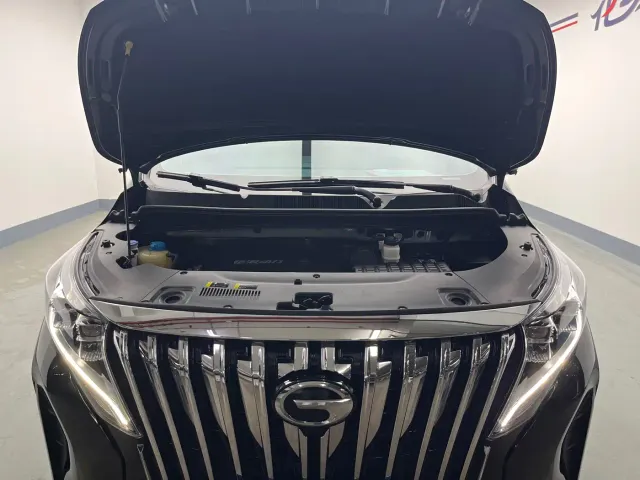 GAC Trumpchi M8 — Фото автомобиля 20
