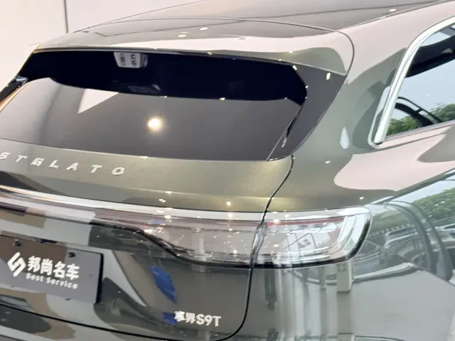Stelato S9T — Фото автомобиля 27