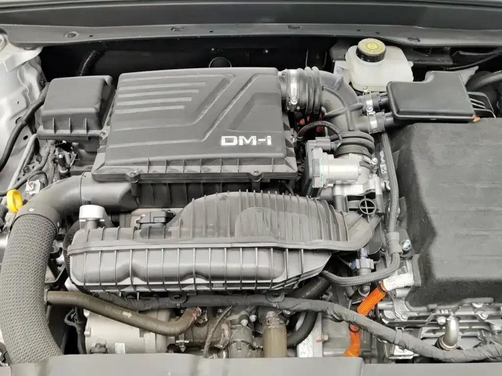 BYD Destroyer 05 2024 Glory Edition DM-i 55KM Luxury — Фото автомобиля 21