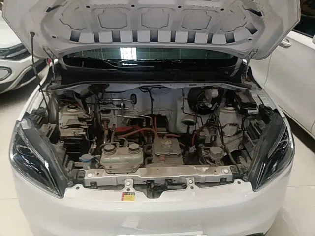 Wuling Motors Wuling Hongguang New Energy 2024 Model Pure Electric 300KM Utility Version — Фото автомобиля 19