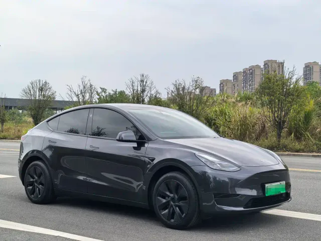 Tesla Model Y — Фото автомобиля 3